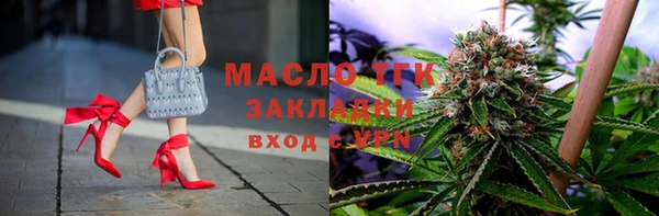 индика Абинск